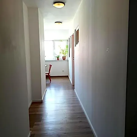 Lemuria Chojnowska A Vandrerhjem *