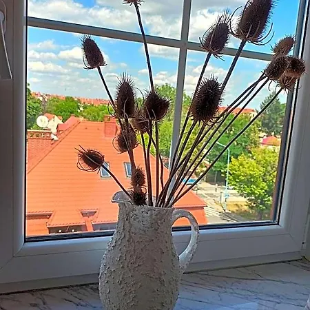 Vandrerhjem Lemuria Chojnowska A Legnica