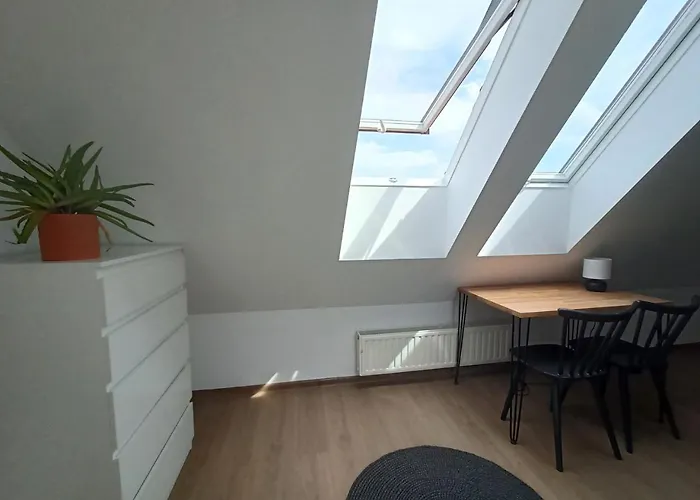 Ostello Lemuria Chojnowska A *