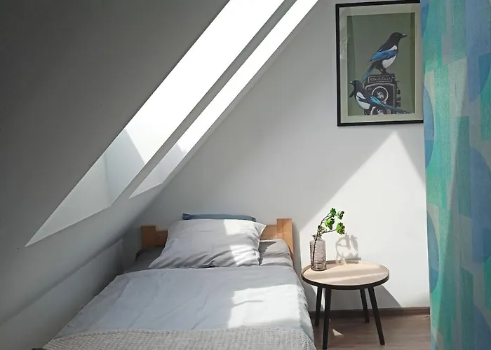 Lemuria Chojnowska A Ostello