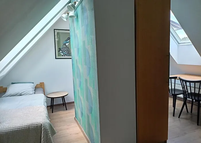 Lemuria Chojnowska A Ostello Legnica