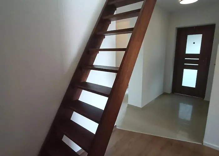 Lemuria Chojnowska A Ostello