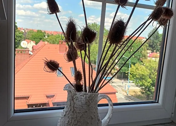 Lemuria Chojnowska A Ostello *